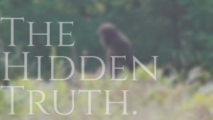 Revealing the Hidden Truths